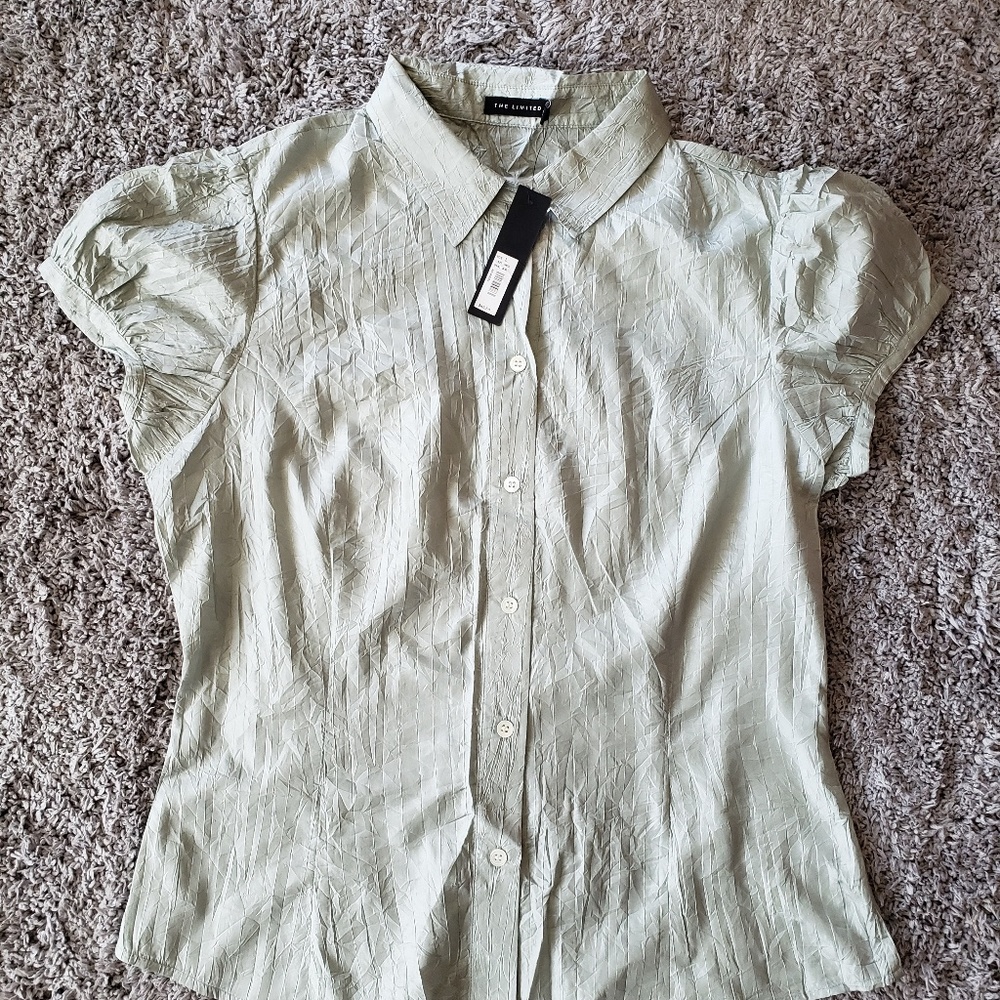 The Limited Mint Green Large Blouse